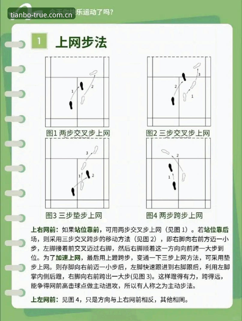 女子PGA锦标赛观赛决策指南：科达三连冠攻防全解析